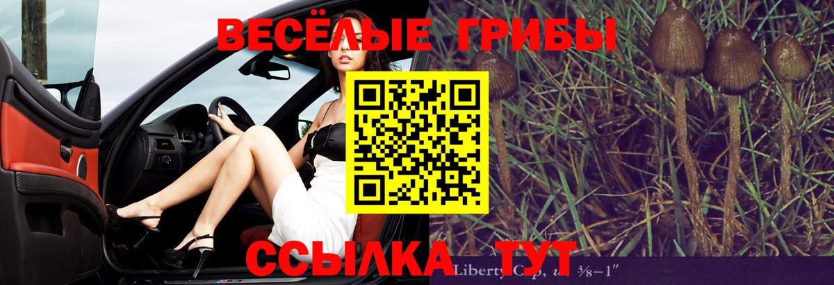 ГАШИШ  Alpha PVP СК кристаллы  Каннабис  Минеральные Воды  МЕФ кристаллы  Меф кристаллы  COCAIN  КОКАИН  MDMA 