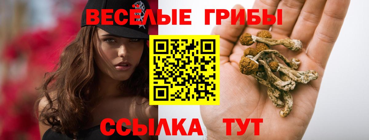Минеральные Воды  Галлюциногенные грибы прущие грибы  Вход с VPN 